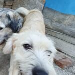 Messenger creation b215f927 b922 45b1 a944 96d0ce346e6d