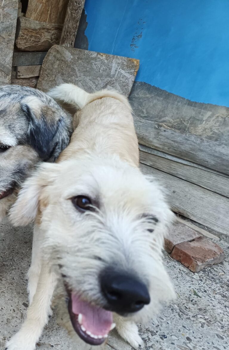 Messenger creation b215f927 b922 45b1 a944 96d0ce346e6d