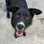 Messenger creation c4e58f09 1312 4c94 8b1d f91408bc04f2