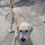 Messenger creation d91c6d44 d155 4792 8998 2cf8e28a5664