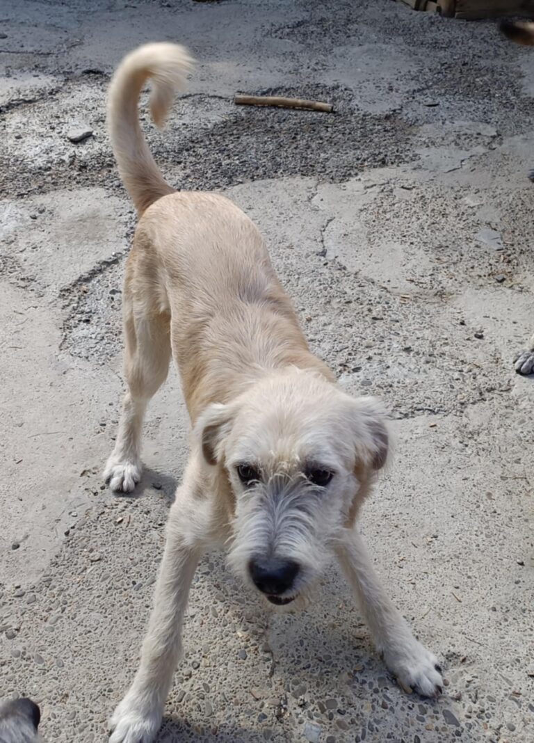 Messenger creation d91c6d44 d155 4792 8998 2cf8e28a5664