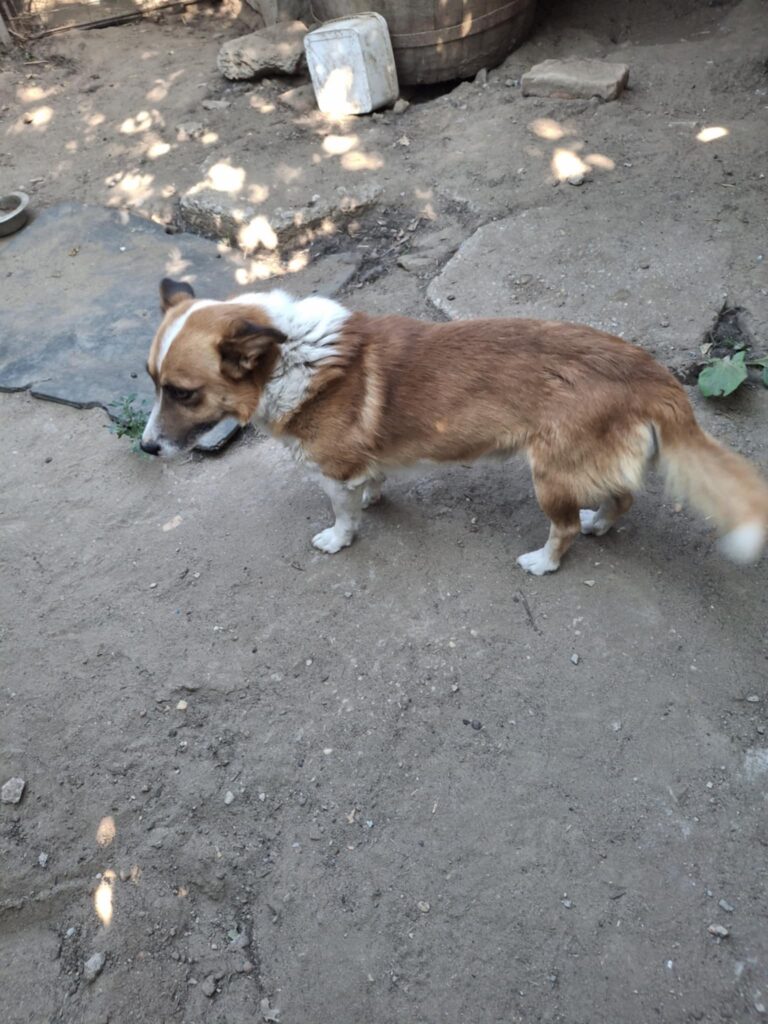 Messenger creation dc214e6b 0034 4e94 995d 8e1003bb28e9