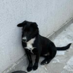 Messenger creation de061b91 4e9c 48f8 b549 faac7fae072e