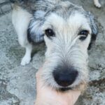 Messenger creation f769e3ac b114 49f8 b13b 33cbf3a76638