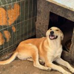 Received 1160948395931089