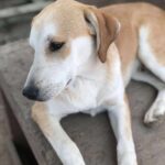 Received 1265175352045809