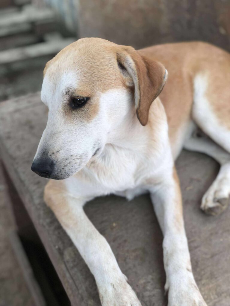 Received 1265175352045809