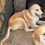 Received 1303167001310172