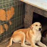 Received 1419946152407137