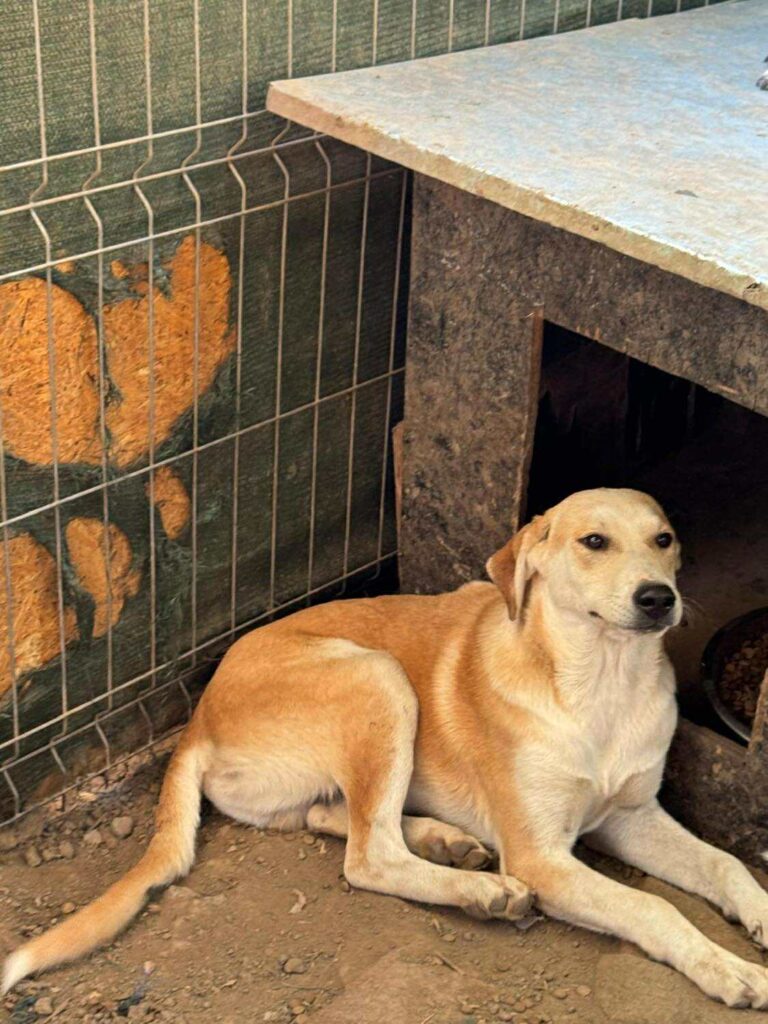 Received 1419946152407137