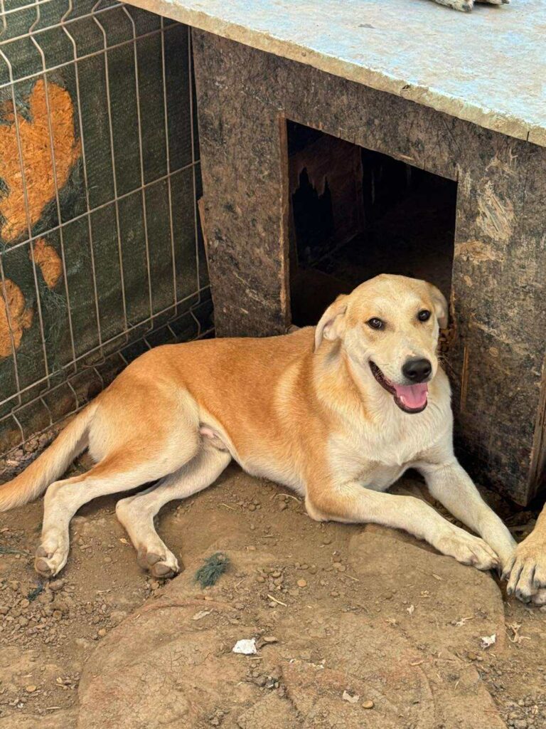 Received 1473926970527335