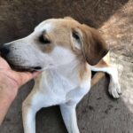 Received 1548459416327532