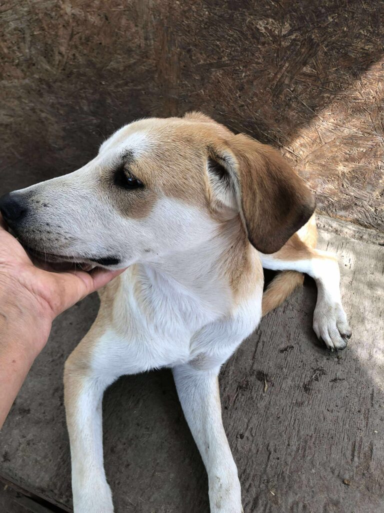 Received 1548459416327532