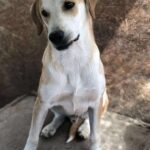 Received 1835764781153679