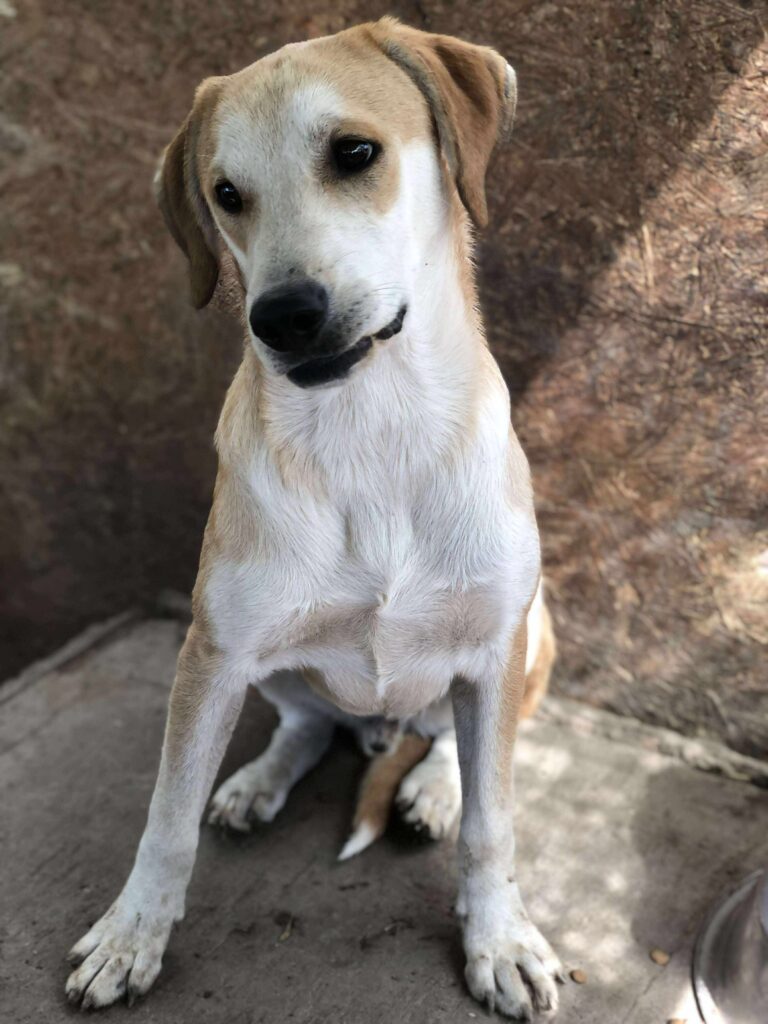 Received 1835764781153679