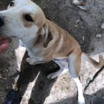 Received 1847877696078246