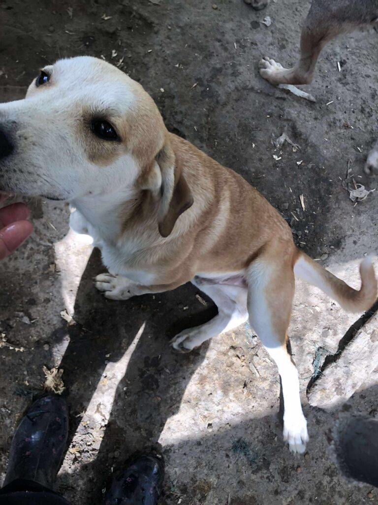 Received 1847877696078246