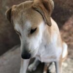 Received 4088653857946502