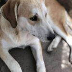 Received 4272599823063319