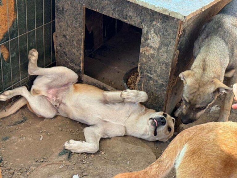 Received 646946181823902