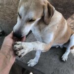 Received 715386421521042