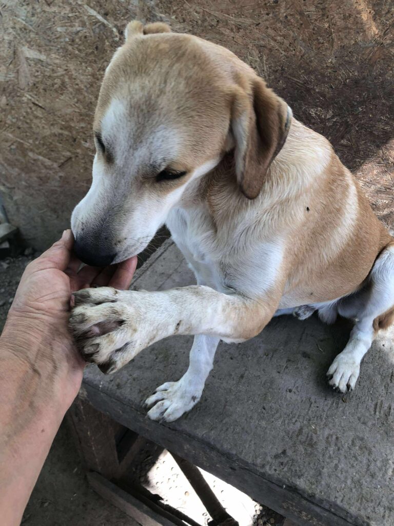 Received 715386421521042