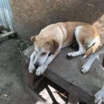 Received 763466519845174