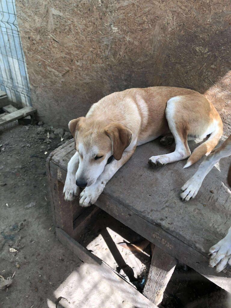 Received 763466519845174