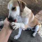 Received 767108132881152