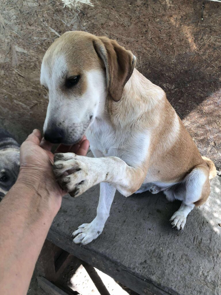 Received 767108132881152