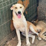 Received 794915359749030