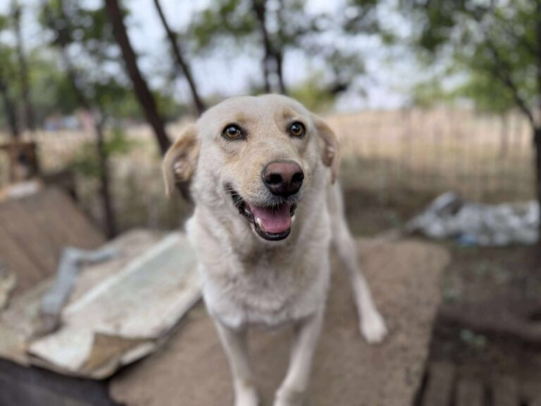 554075742 804091622116103 95057286912791865 n