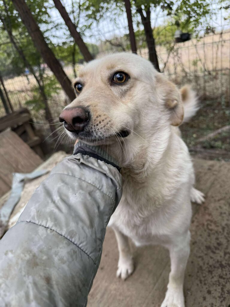 554154814 2963609810490220 670030933079789973 n