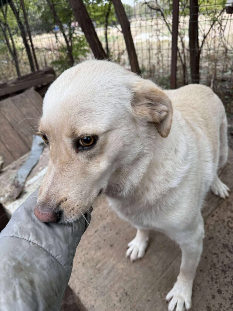 554205727 1343203173822204 4241877655979509387 n