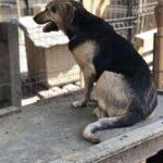 Fb img 1759679561881