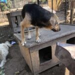 Fb img 1759679564450