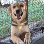 Fb img 1759988449374