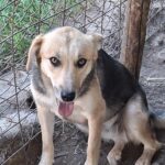 Fb img 1759988452316