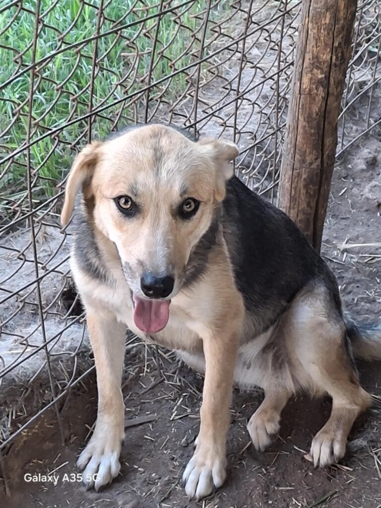 Fb img 1759988452316