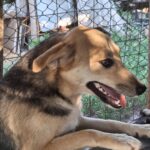 Fb img 1759988455114