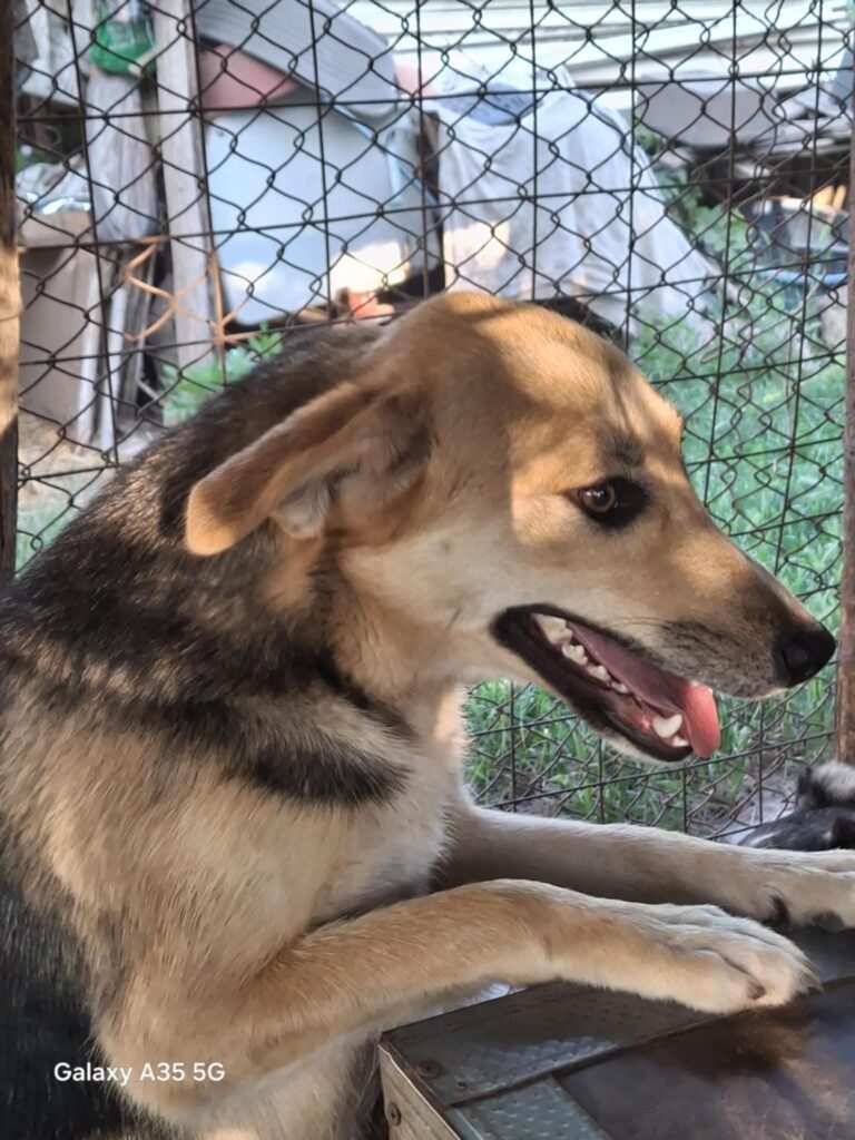 Fb img 1759988455114