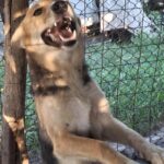 Fb img 1759988457730