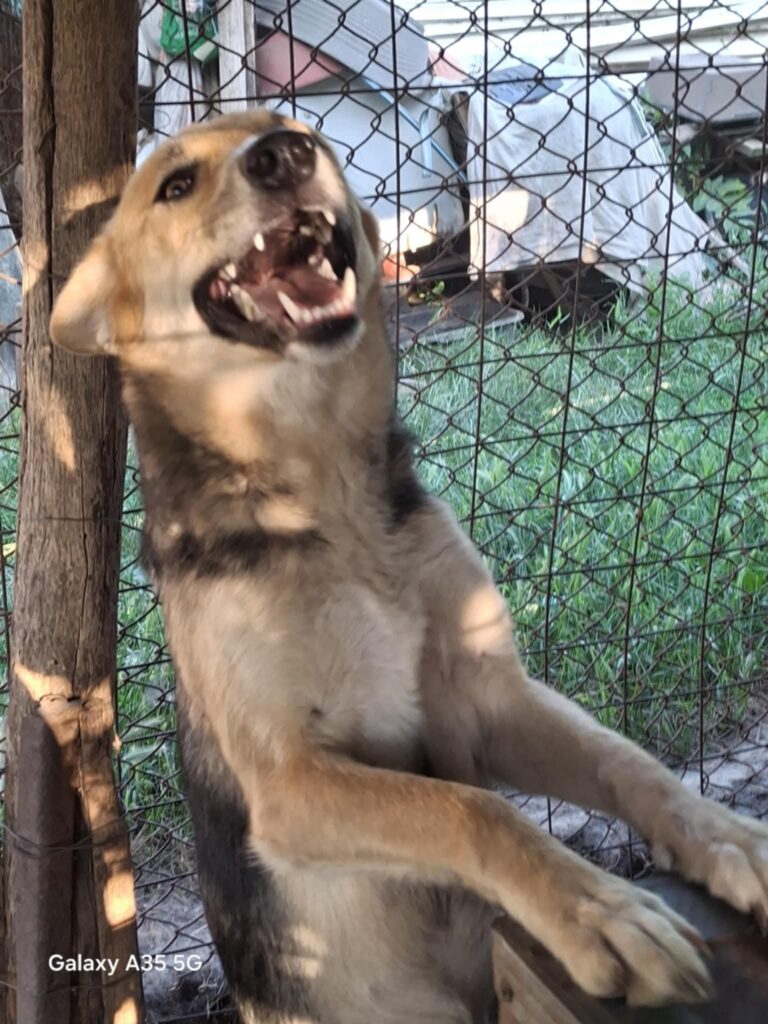 Fb img 1759988457730