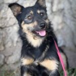 Fb img 1760079773274