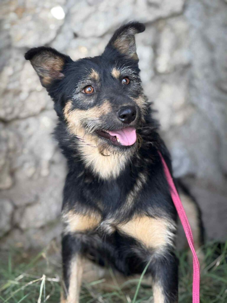 Fb img 1760079787957