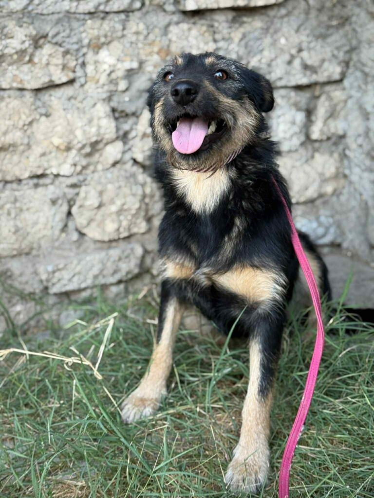 Fb img 1760079790669