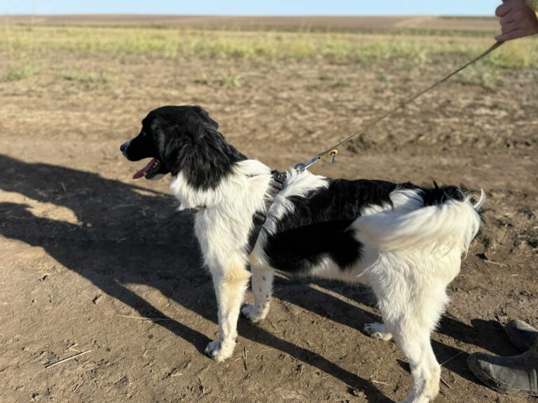 Fb img 1761473951719