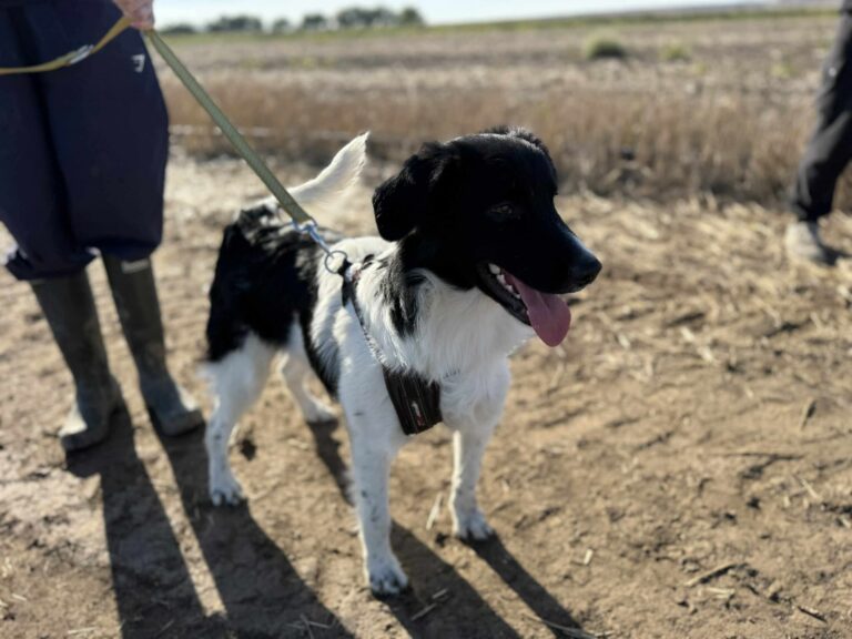 Fb img 1761473954733