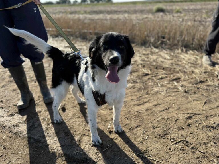 Fb img 1761473957522