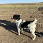 Fb img 1761473960057